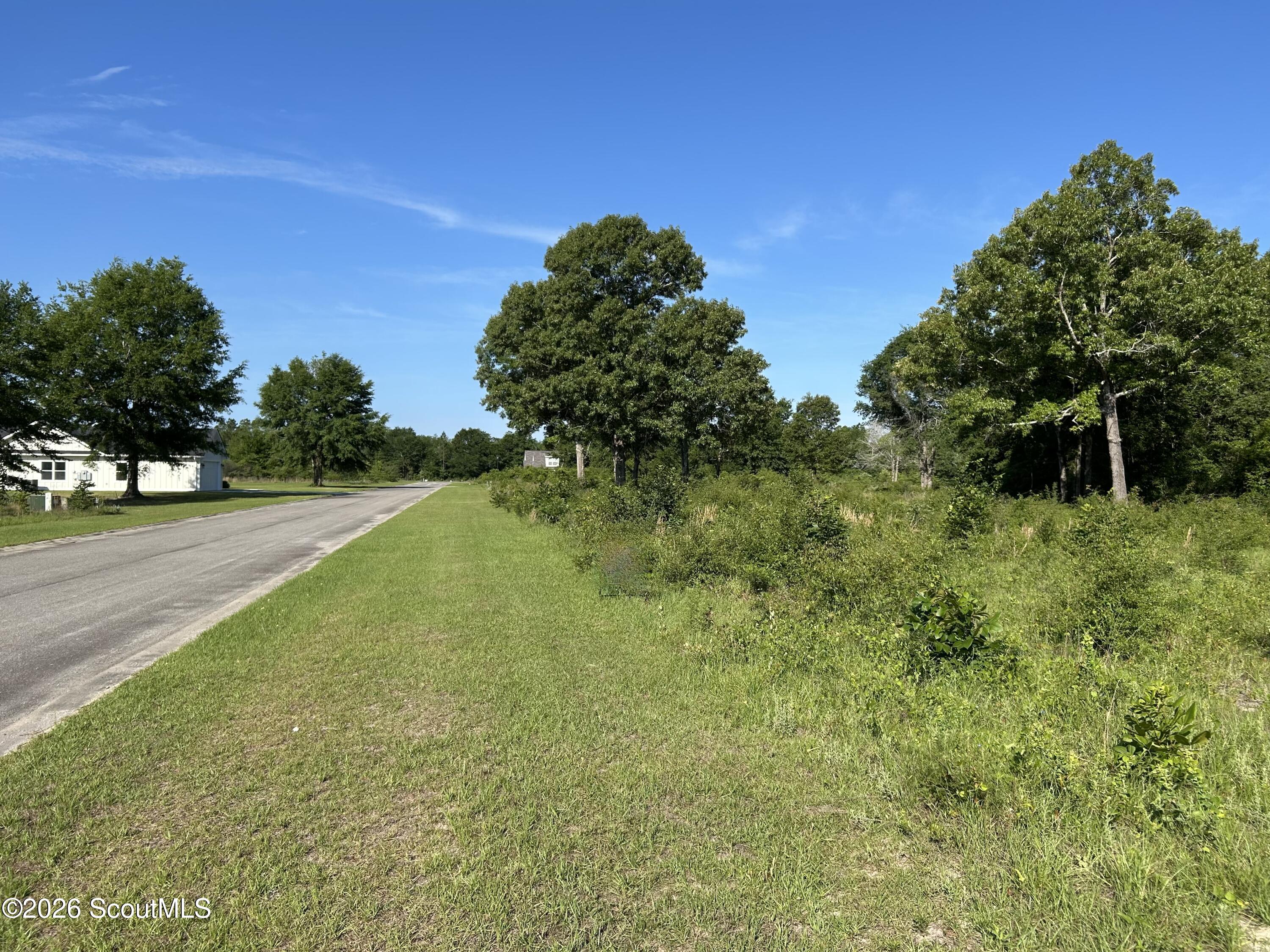 Land in Jesup 5