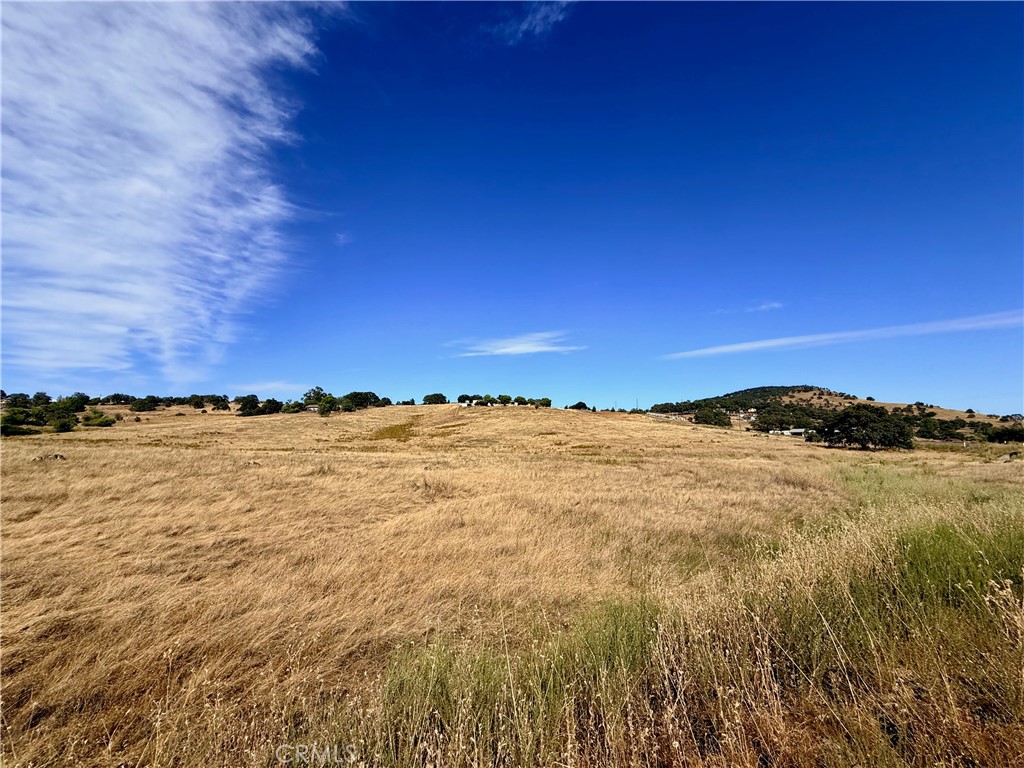 Land in La Grange 5