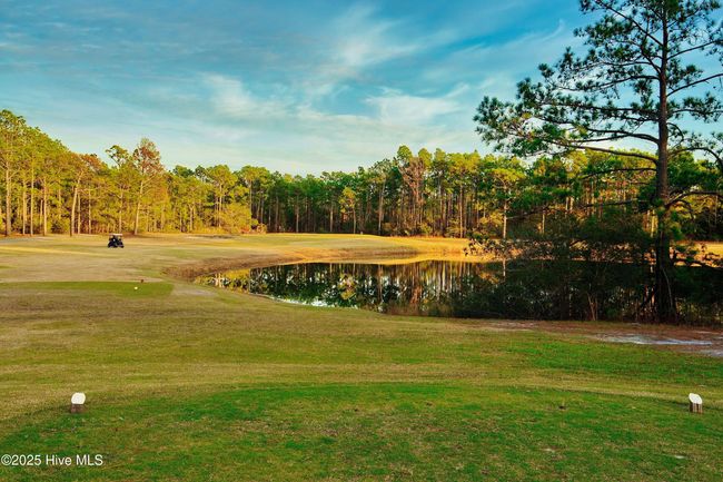 0 Fox Squirel Dr, Home with 0 bedrooms, 0 bathrooms and null parking in Boiling Spring Lakes NC | Image 14