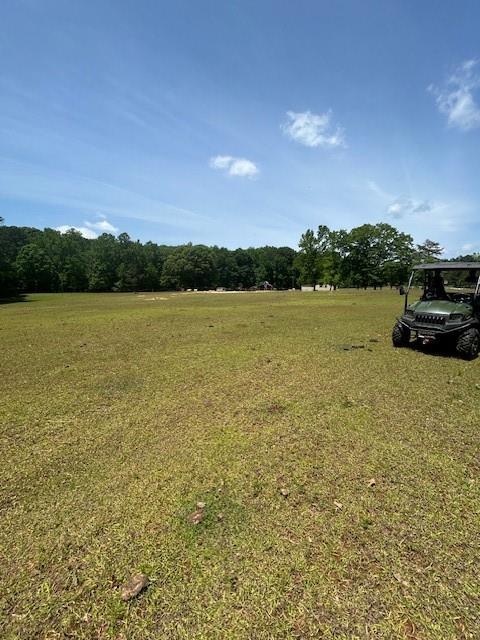 Land in Mcdonough 2