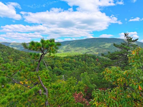 TBD Dry Gulch Rd, Wytheville, VA, 24382 | Card Image