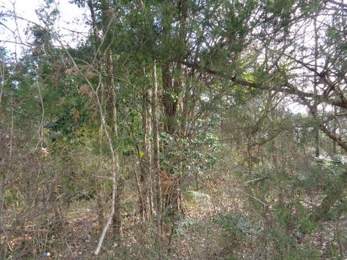 TBD County Road 4870, Winnsboro, TX, 75494 | Card Image