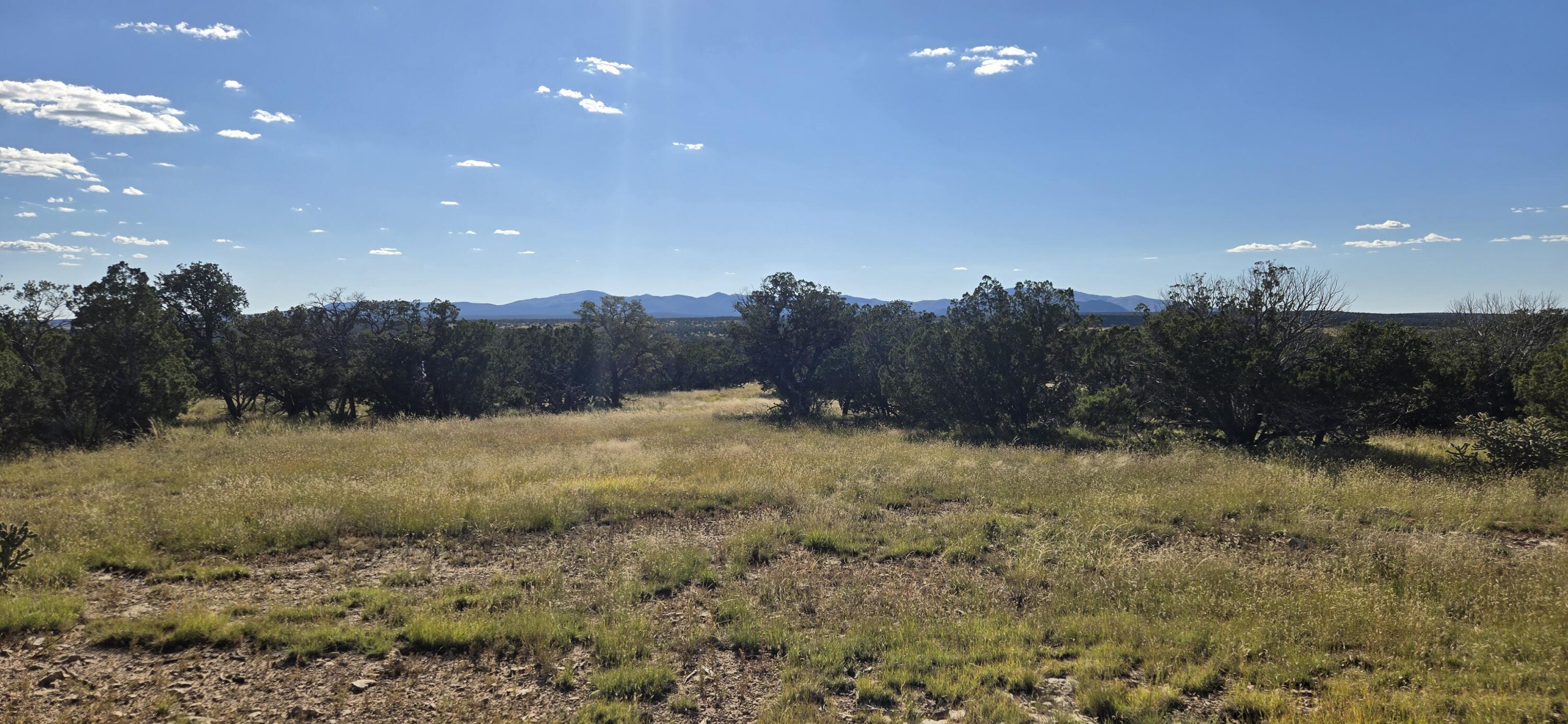 Land in Corona 5