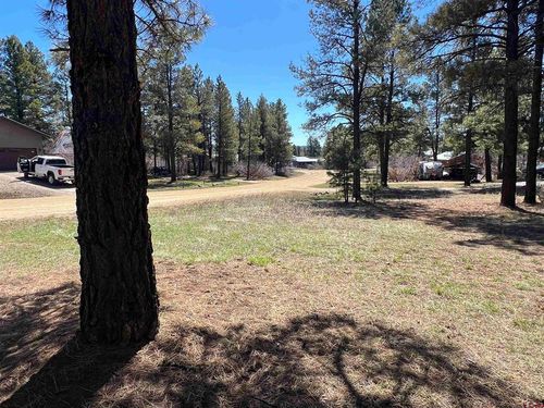 533 Dutton Dr, Pagosa Springs, CO, 81147-9307 | Card Image