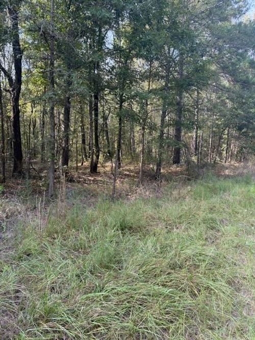 000 Wood Frst, Livingston, TX, 77351 | Card Image