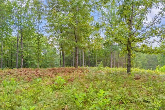 0 Currahee Club Dr, Home with 0 bedrooms, 0 bathrooms and null parking in Toccoa GA | Image 20