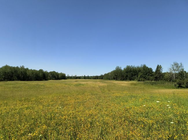16499 Hwy 45, Home with 0 bedrooms, 0 bathrooms and null parking in Bruce Crossing MI | Image 11