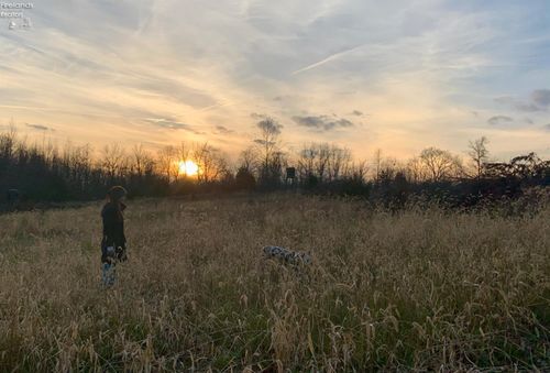 0 S Tr 173, Bloomville, OH, 44818 | Card Image