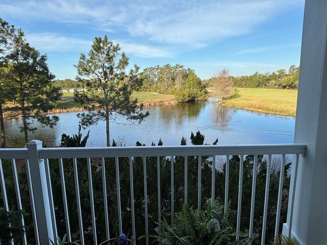 213 Eagles Way, Condo with 2 bedrooms, 2 bathrooms and 2 parking in CARRABELLE FL | Image 32