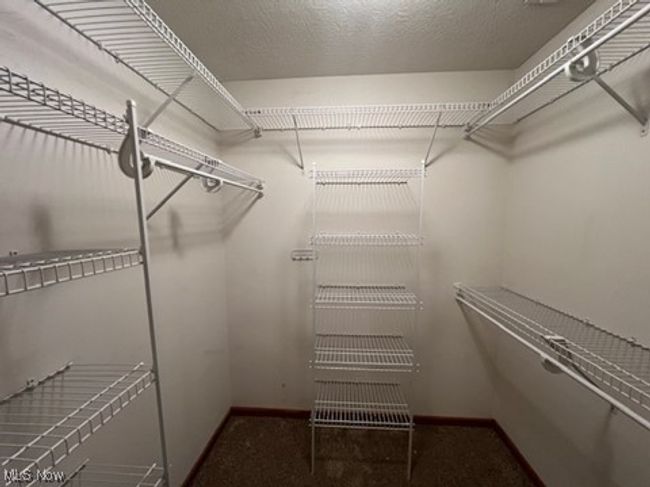 Walk in closet featuring carpet flooring | Image 13