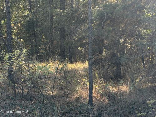 NNA W Grayeagle Rd, Rathdrum, ID, 83858 | Card Image