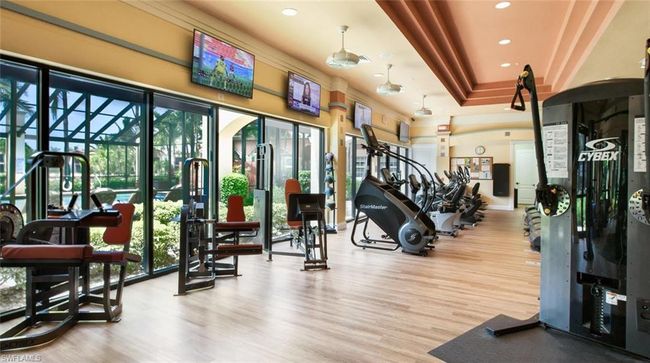 Exercise room featuring light hardwood / wood-style floors, a wealth of natural light, and a tray ceiling | Image 28