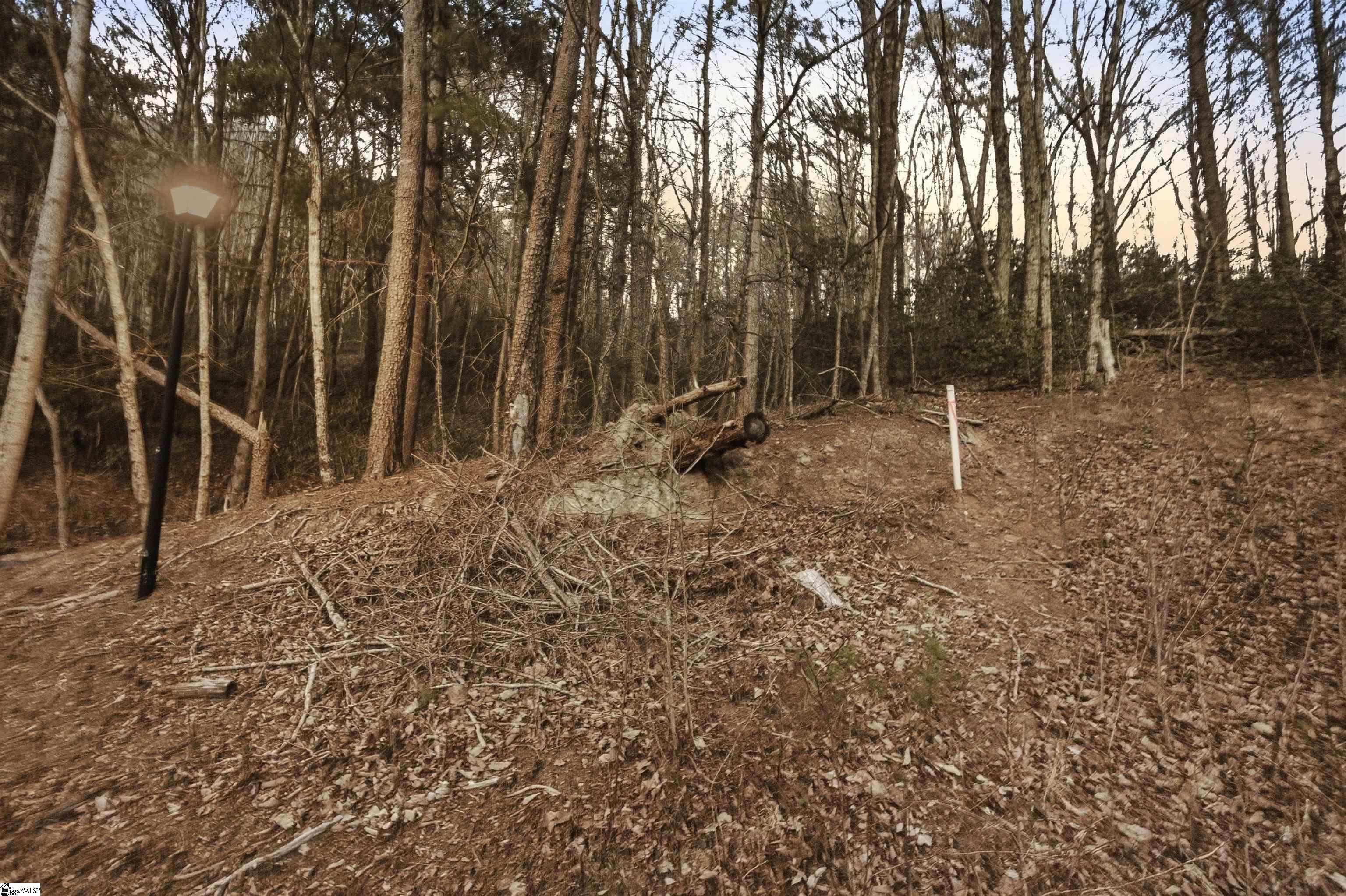 Land in Landrum 2