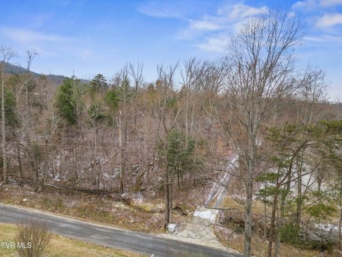 Tbd Tweed Springs Road, Greeneville, TN, 37743 | Card Image