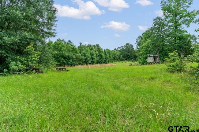 3536 &amp; TBD Cr 1579, Home with 4 bedrooms, 3 bathrooms and null parking in Avinger TX | Image 48