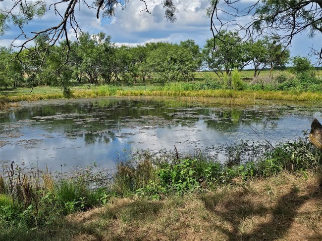 Water view | Image 18