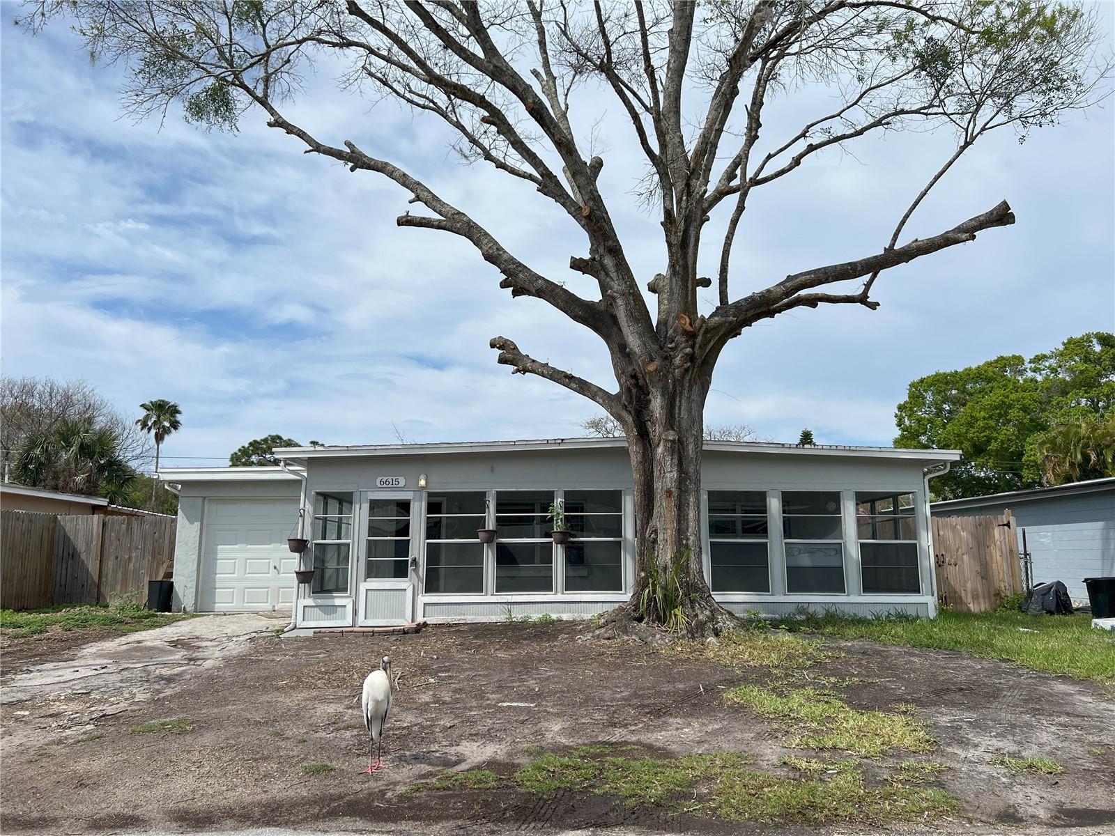 Sierra Ter, New Port Richey, FL 34652