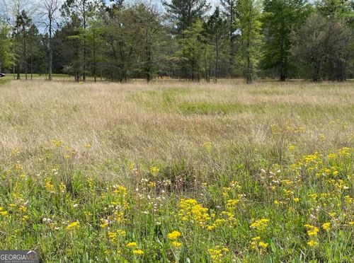 0 Main Trail, Fleming, GA, 31309 | Card Image