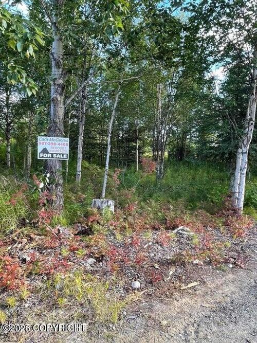 25850 Stinkbug St, Anchor Point, AK, 99556-9794 | Card Image