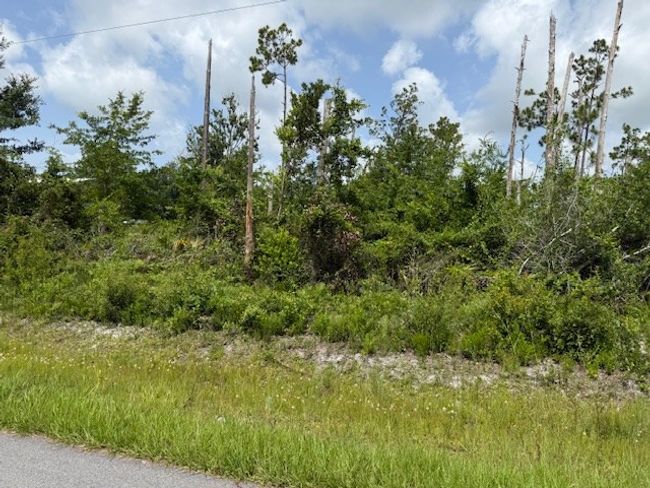 125 N Patrick St, House other with 1 bedrooms, 1 bathrooms and 4 parking in Port St. Joe FL | Image 49