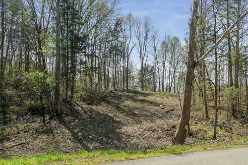 00 Big Springs Rd, Monroe, TN, 38573 | Card Image