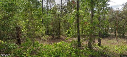 105 Pinetree St, Pomona Park, FL, 32181-2478 | Card Image