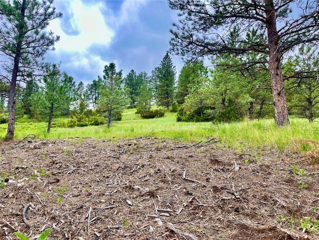 69 Colter Trl, Home with 0 bedrooms, 0 bathrooms and null parking in Columbus MT | Image 25