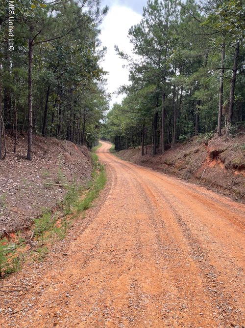 1501 Mooney Rd, Carthage, MS, 39051-7110 | Card Image