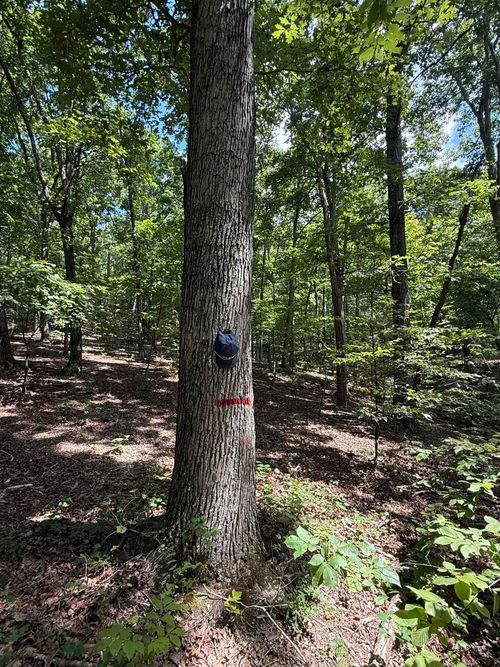 000 Herndon Cemetery Rd, Big Sandy, TN, 38221 | Card Image