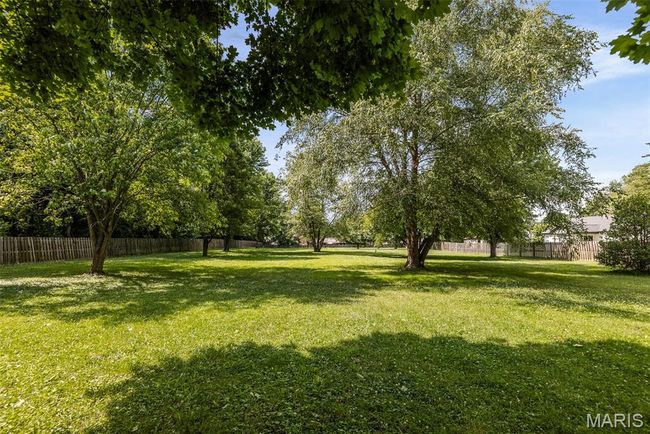 View of yard | Image 11
