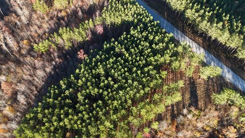 252 Streamside Dr, Linden, TN, 37096 | Card Image