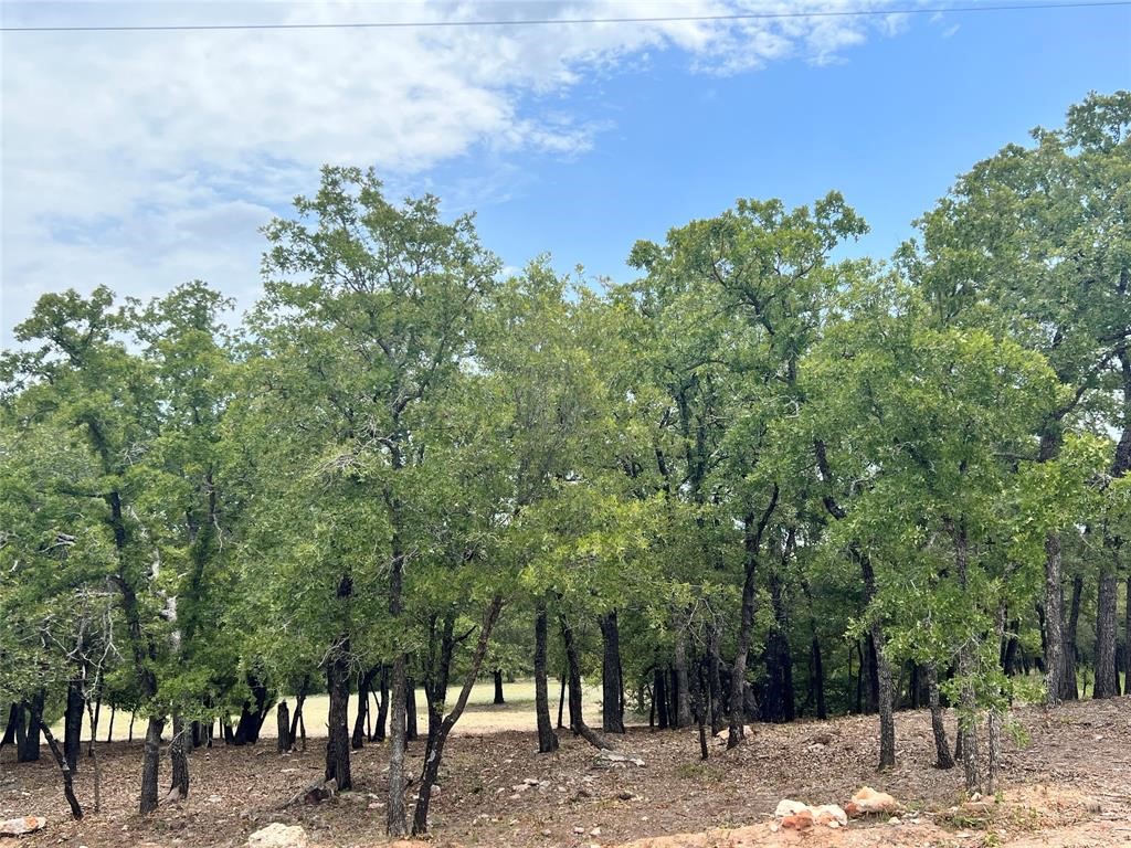 Land in Alvord 4