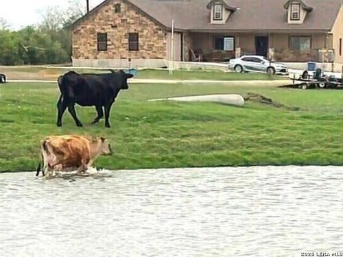 6197 Pfeil Rd, Schertz, TX, 78154-6030 | Card Image