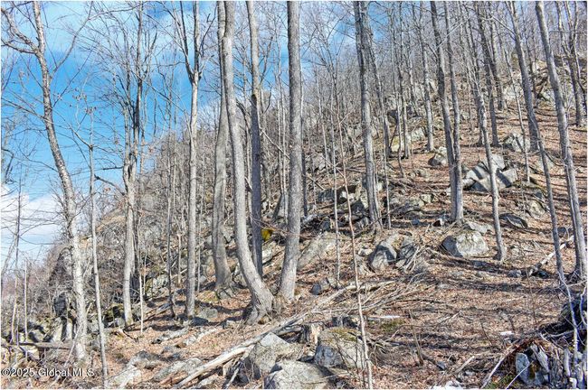 48 Durkin Rd, Home with 0 bedrooms, 0 bathrooms and null parking in North Creek NY | Image 42