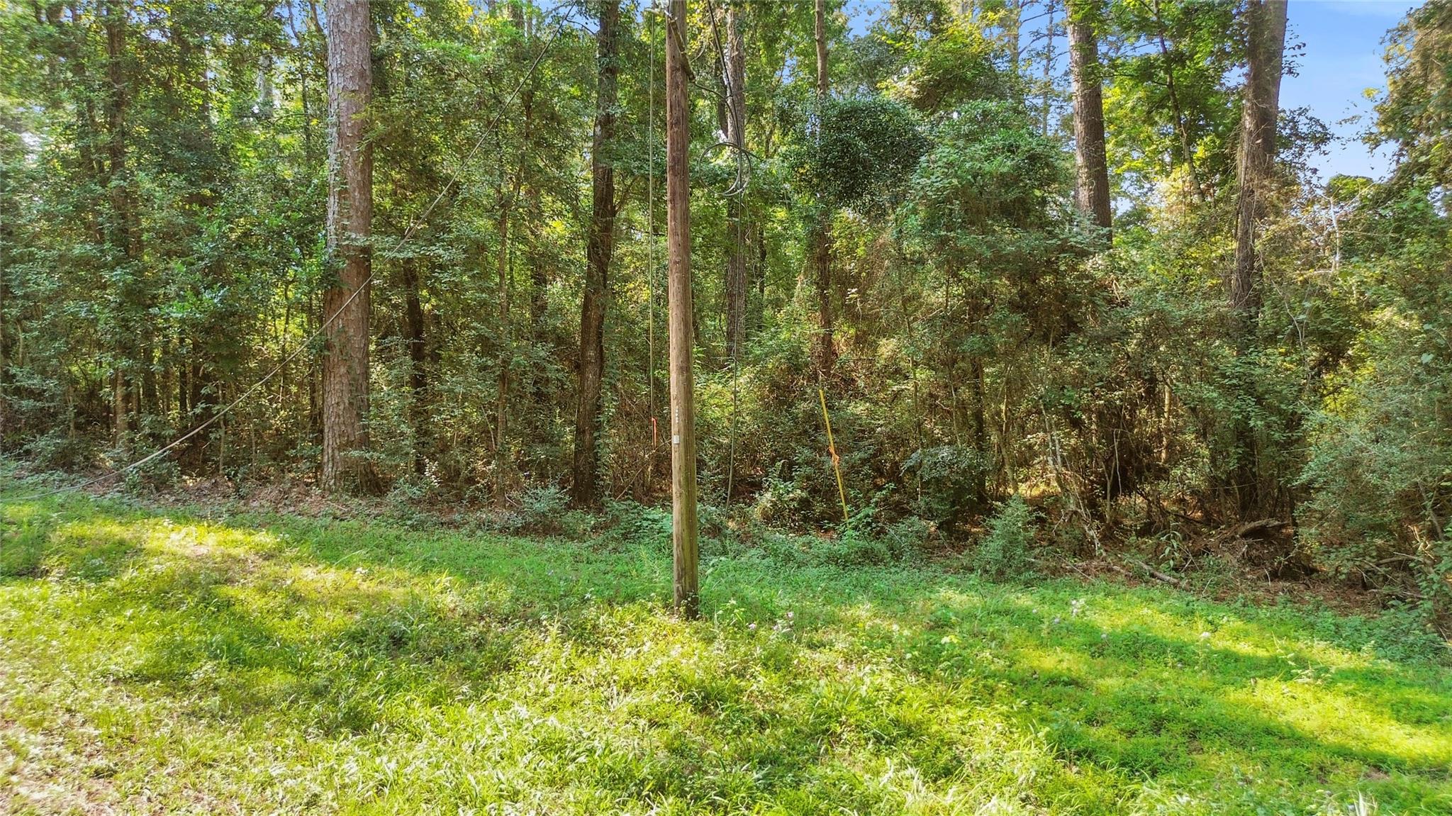 Land in Conroe 2