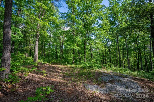 0 Walkaloosa Way, Home with 0 bedrooms, 0 bathrooms and null parking in Mooresboro NC | Image 17