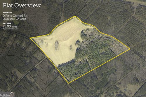 0 Pitts Chapel Road, Monticello, GA, 31064 | Card Image