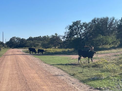 3200 Elm Springs Trl, Menard, TX, 76859 | Card Image