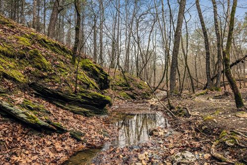 142 Lonely Oaks Trail, Hochatown, OK, 74728 | Card Image