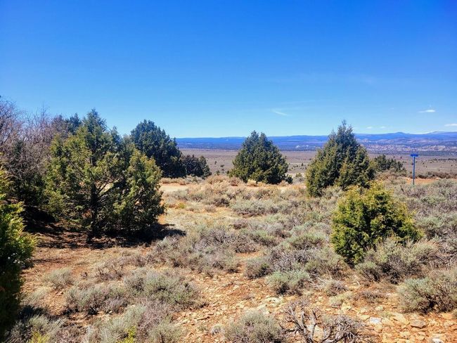 5-Of the Lot4 | Image 5