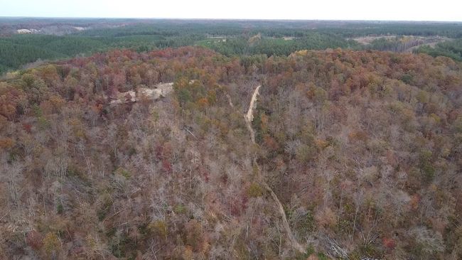 0 Mc Cord Hollow Rd, Home with 0 bedrooms, 0 bathrooms and null parking in Hohenwald TN | Image 15