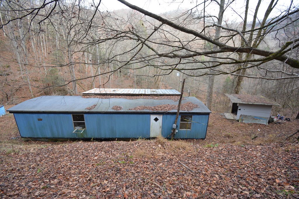 Land in Grundy 5