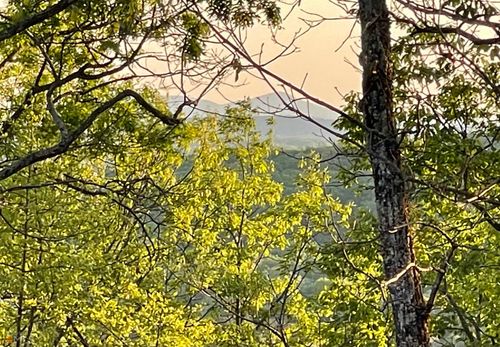 lot-5-0 Little Eagle Mountain Rd, Clarkesville, GA, 30523 | Card Image