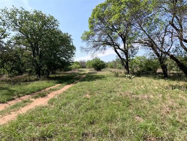 View of yard | Image 31