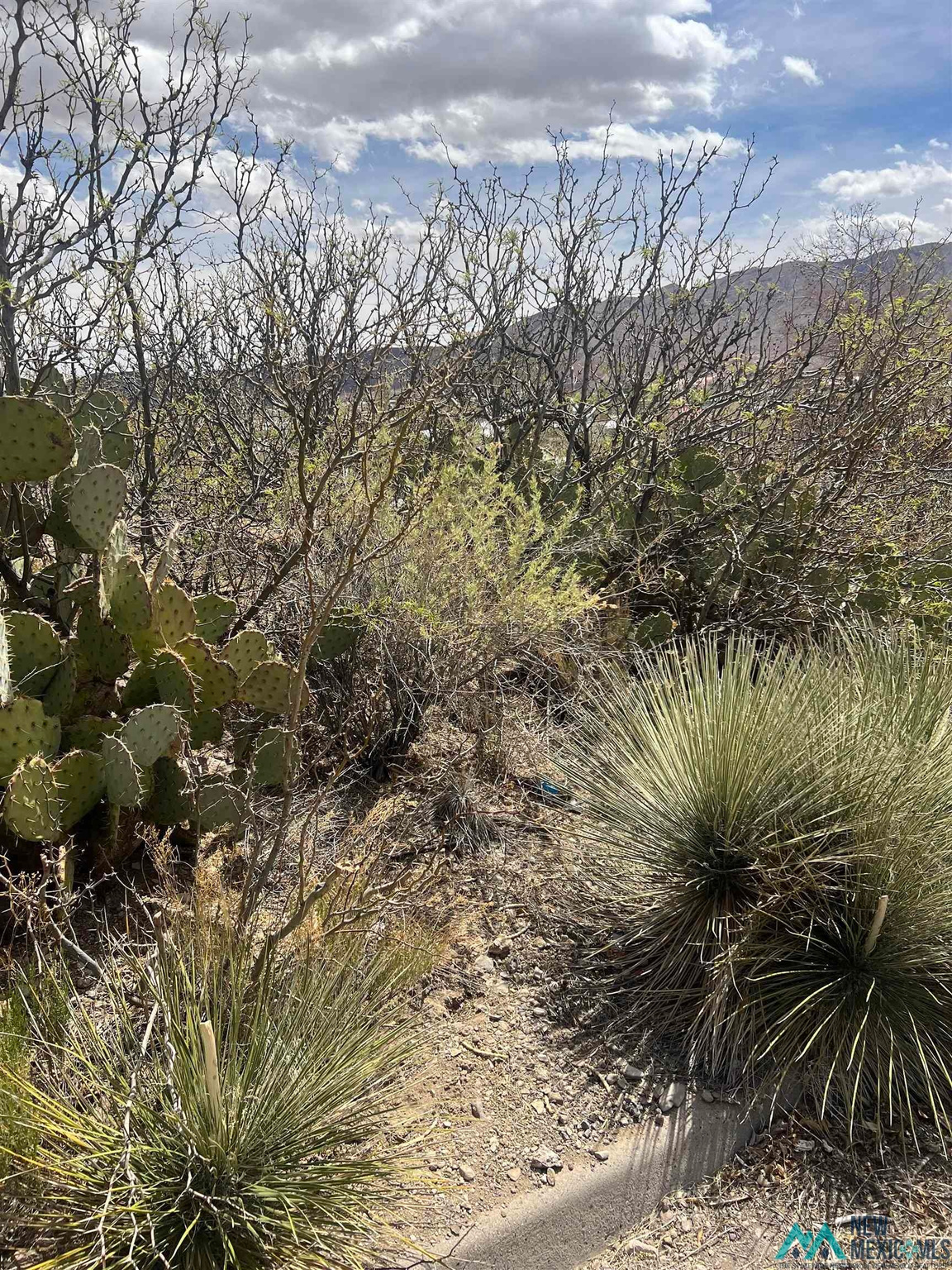 907 Grape St, Truth or Consequences, NM 87901