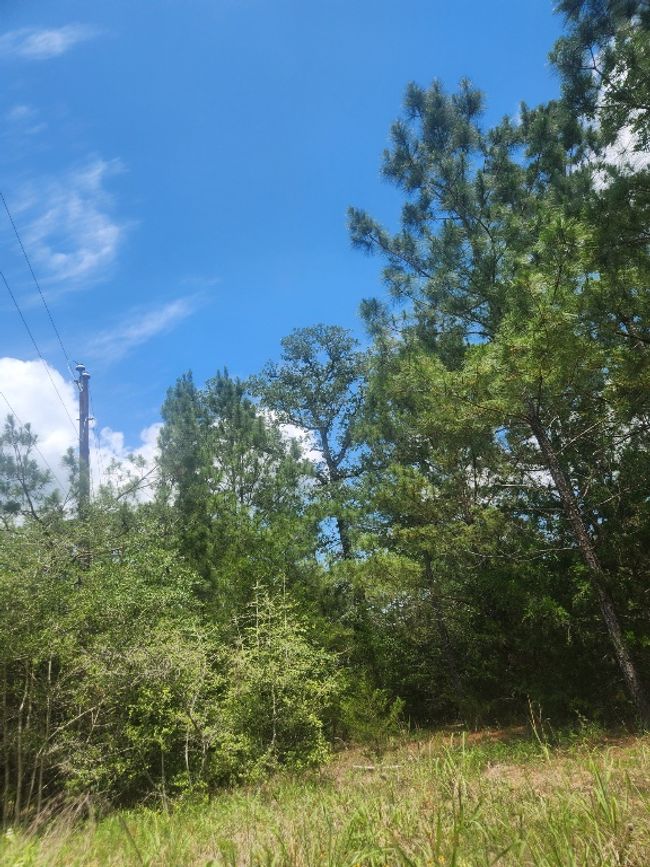 124 Paintbrush Ln, Home with 0 bedrooms, 0 bathrooms and null parking in Bastrop TX | Image 4