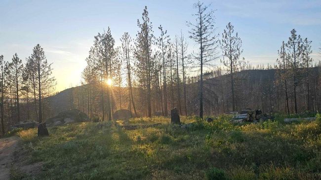 5069 J Rail Canyon Rd, Home with 0 bedrooms, 0 bathrooms and null parking in Springdale WA | Image 19