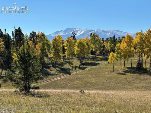 2940 North Road, Divide, CO, 80814 | Card Image