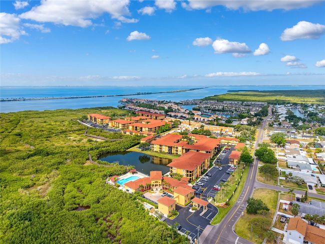 APT-102 - 4307 Bayside Village Dr, Condo with 2 bedrooms, 2 bathrooms and null parking in TAMPA FL | Image 27