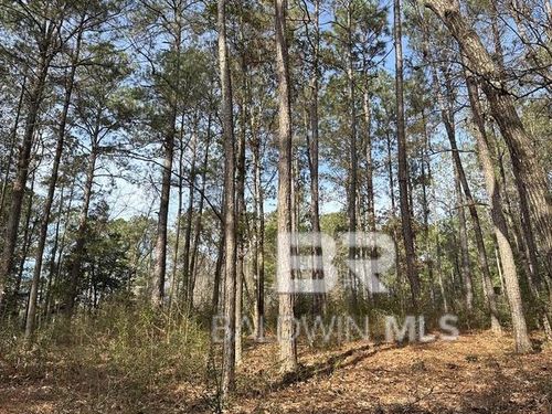 21&22 Flat Creek Dr, Bay Minette, AL, 36507 | Card Image